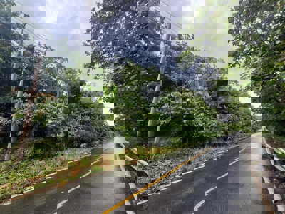 Land for Sale in Buenos Aires, Chame | 3016 m² and Mountain Views - image 1