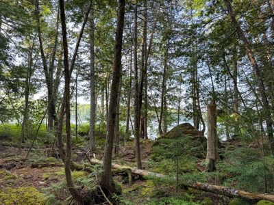 Off-Grid Maine Cabin with Lake Access - image 17