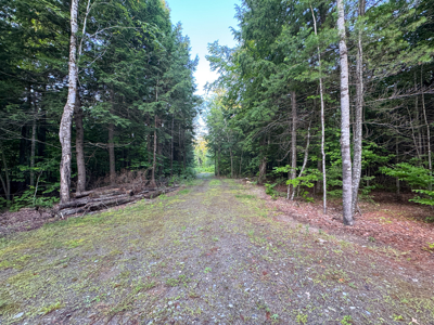 Off-Grid Maine Cabin with Lake Access - image 15