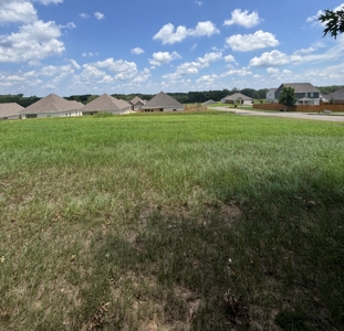 Residential Lot for Sale in Oak Park Subdivision – Troy, AL - image 2