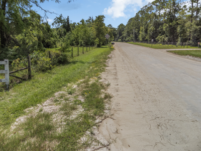10 Acres of Vacant Land For Sale in Bell, FL - image 14