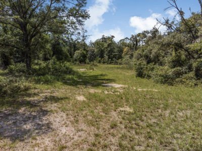 10 Acres of Vacant Land For Sale in Bell, FL - image 17