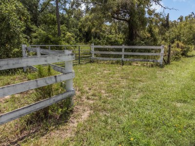 10 Acres of Vacant Land For Sale in Bell, FL - image 16