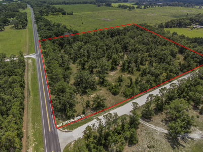 10 Acres of Vacant Land For Sale in Bell, FL - image 10