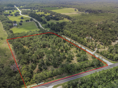10 Acres of Vacant Land For Sale in Bell, FL - image 7