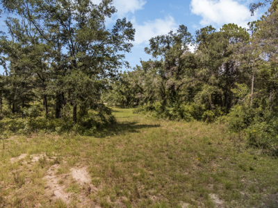 10 Acres of Vacant Land For Sale in Bell, FL - image 19