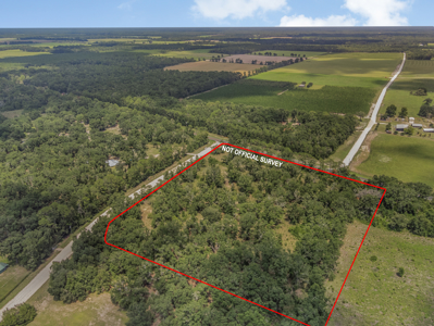 10 Acres of Vacant Land For Sale in Bell, FL - image 3