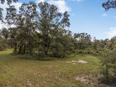 10 Acres of Vacant Land For Sale in Bell, FL - image 22