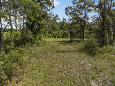 10 Acres of Vacant Land For Sale in Bell, FL - image 18
