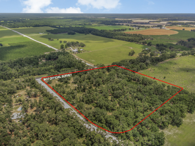 10 Acres of Vacant Land For Sale in Bell, FL - image 1