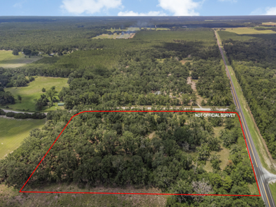 10 Acres of Vacant Land For Sale in Bell, FL - image 5