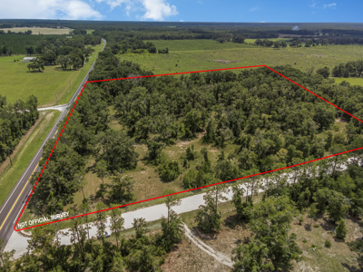 10 Acres of Vacant Land For Sale in Bell, FL - image 11