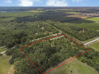 10 Acres of Vacant Land For Sale in Bell, FL - image 4