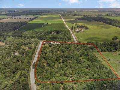 10 Acres of Vacant Land For Sale in Bell, FL - image 2