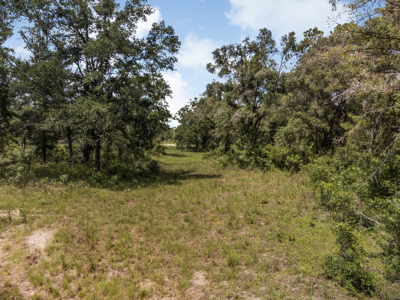 10 Acres of Vacant Land For Sale in Bell, FL - image 20
