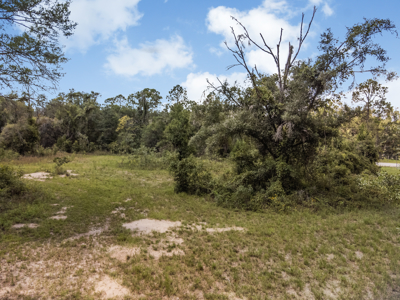 10 Acres of Vacant Land For Sale in Bell, FL - image 21