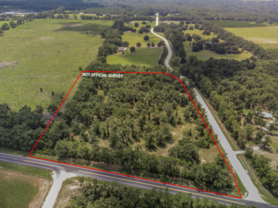10 Acres of Vacant Land For Sale in Bell, FL - image 8