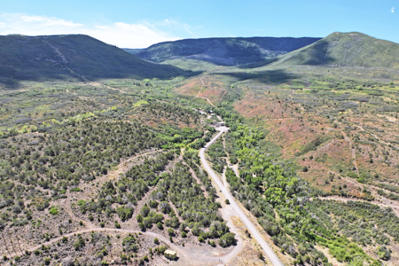 Mountain Log Home on Acreage For Sale in Western Colorado - image 38