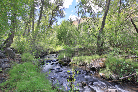 Mountain Log Home on Acreage For Sale in Western Colorado - image 32