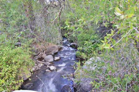 Mountain Log Home on Acreage For Sale in Western Colorado - image 31