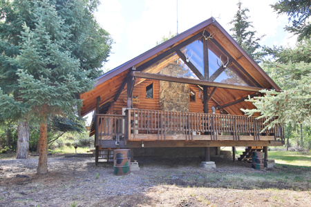 Mountain Log Home on Acreage For Sale in Western Colorado - image 1