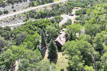 Mountain Log Home on Acreage For Sale in Western Colorado - image 35