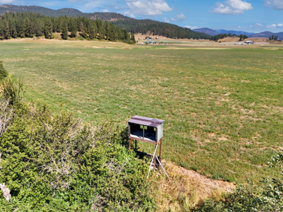 Nearly 400 ac Burlington Ranch in Chewelah, WA For Sale! - image 13