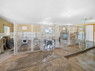 Nearly 400 ac Burlington Ranch in Chewelah, WA For Sale! - image 42