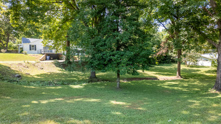 Home in Town for sale in the Arkansas Ozarks - image 4