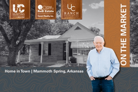 Home in Town for sale in the Arkansas Ozarks - image 5