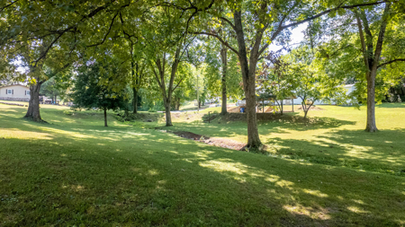 Home in Town for sale in the Arkansas Ozarks - image 44