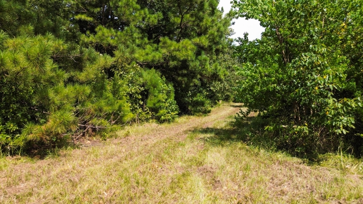 Prime Comm. Dev. Ac. - 0.25 Miles from Buccee's
