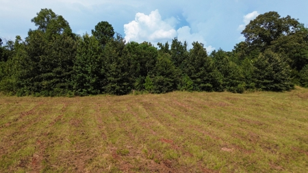 Prime Comm. Dev. Ac. - 0.25 Miles from Buccee's - image 16