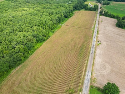 Tchula MS Delta 97 Acres for Sale - image 2