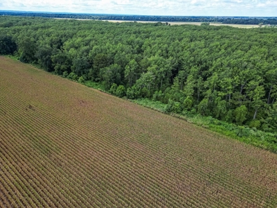 Tchula MS Delta 97 Acres for Sale - image 20