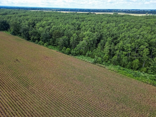 Tchula MS Delta 97 Acres for Sale