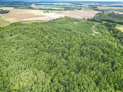 Tchula MS Delta 97 Acres for Sale - image 9