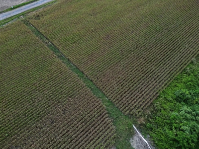 Tchula MS Delta 97 Acres for Sale - image 19