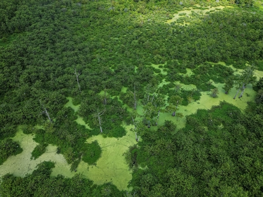 Tchula MS Delta 97 Acres for Sale