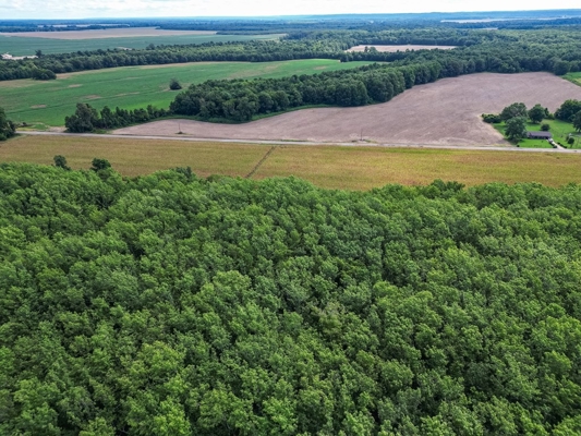 Tchula MS Delta 97 Acres for Sale