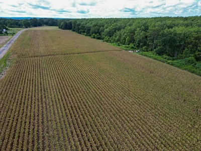 Tchula MS Delta 97 Acres for Sale - image 16