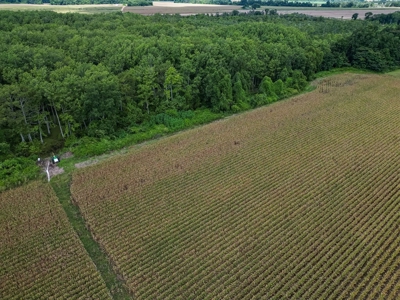 Tchula MS Delta 97 Acres for Sale - image 21