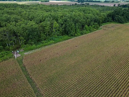 Tchula MS Delta 97 Acres for Sale