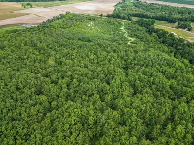 Tchula MS Delta 97 Acres for Sale - image 6