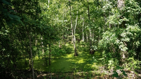 Tchula MS Delta 97 Acres for Sale - image 29