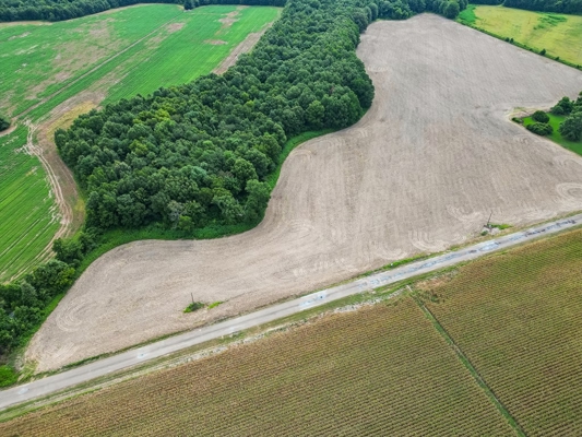 Tchula MS Delta 97 Acres for Sale