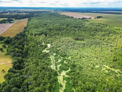 Tchula MS Delta 97 Acres for Sale - image 12