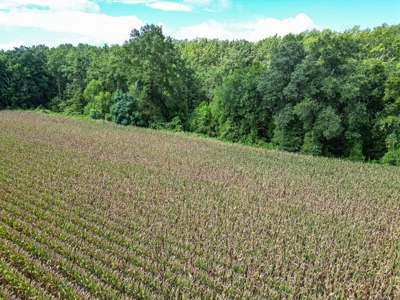 Tchula MS Delta 97 Acres for Sale - image 25