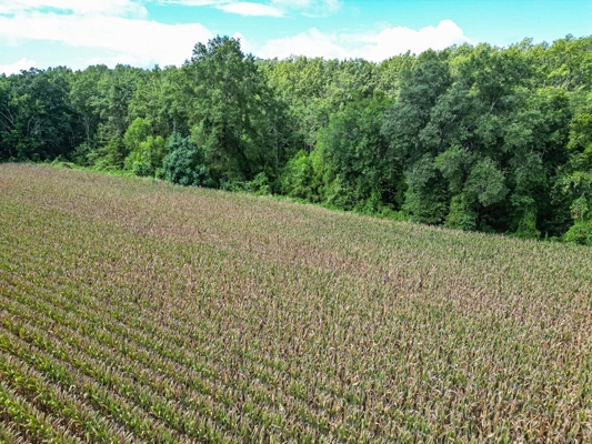 Tchula MS Delta 97 Acres for Sale