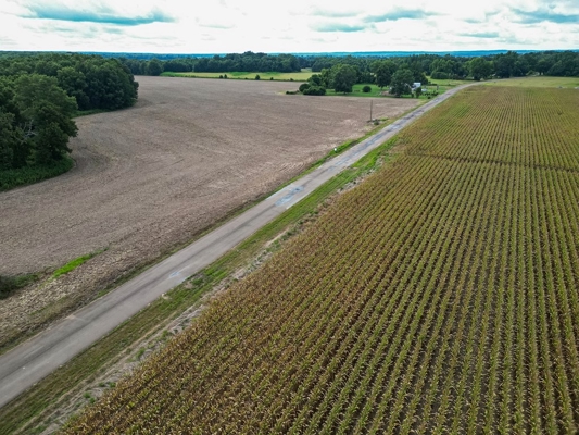 Tchula MS Delta 97 Acres for Sale